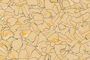 Кварцвиниловые полы Forbo Colorex SD 150212 фото  | FLOORDEALER